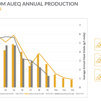 Annual Production Profile